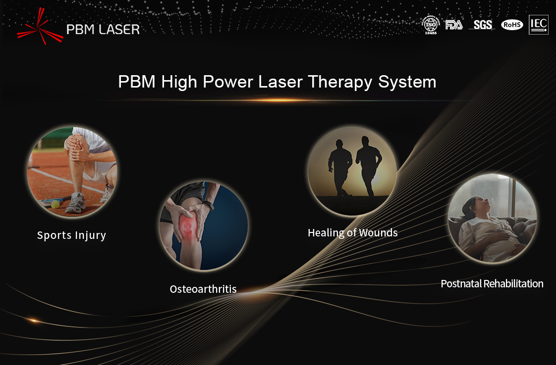 PBM Medical Laser арқылы жоғары энергиялық лазермен жаттығуларды қалпына келтіру принциптері мен мысалдары - Реабилитациялық медицина жыл сайынғы жиналысының маңызды сәті есебі