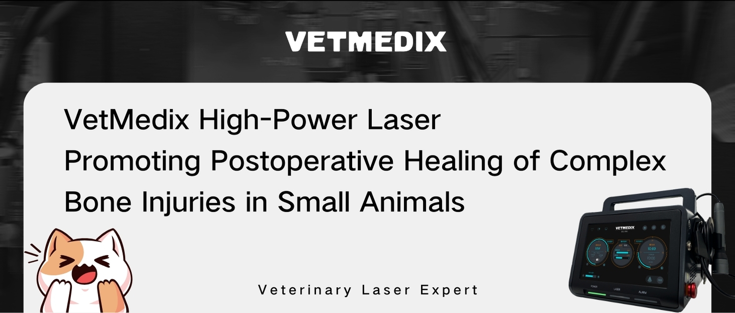 VetMedix Case Sharing 丨Жануарлардағы екінші реттік тибиофибулярлы сынықты жоғары қуатты лазермен емдеу